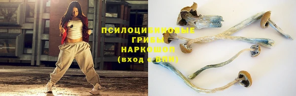 мескалин Пересвет