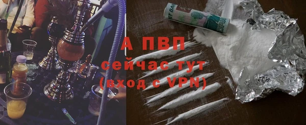 тгк Пестово