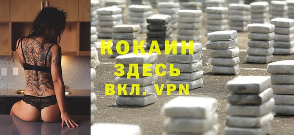 тгк Пестово