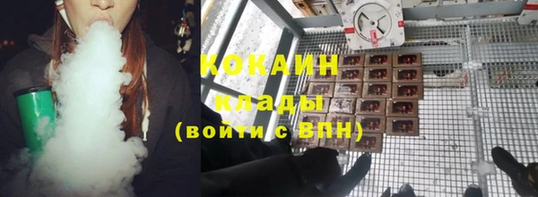 тгк Пестово