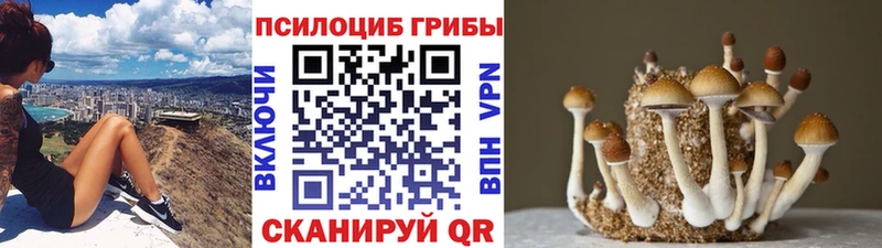 kraken онион Отрадный Псилоцибиновые грибы MAGIC MUSHROOMS что такое наркотик