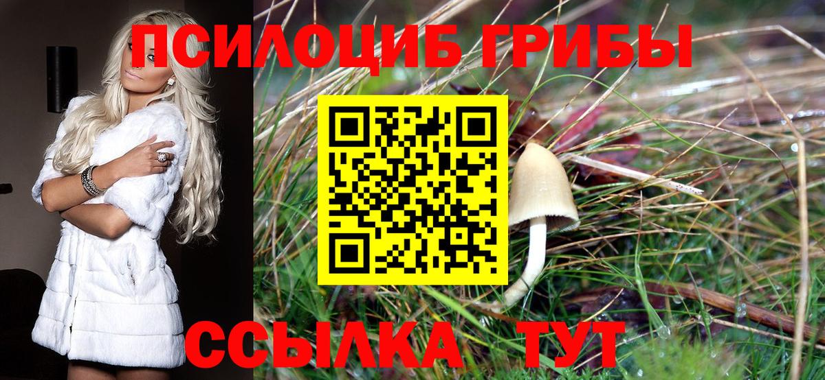 Отрадный  Галлюциногенные грибы Psilocybine cubensis  Галлюциногенные грибы Magic Shrooms  Вход с VPN 